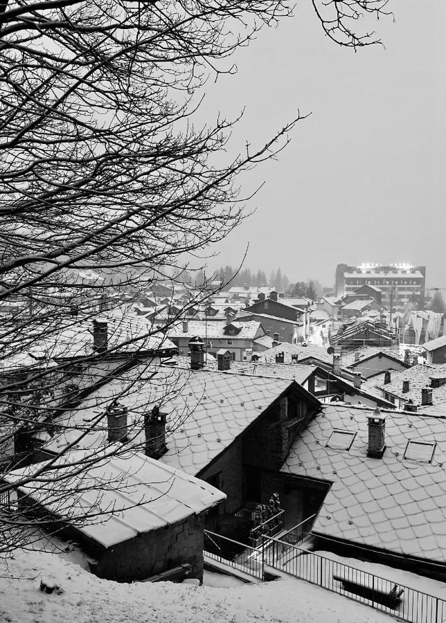 Chalet Blanc "Coeur Sapin" Courmayeur Exterior foto